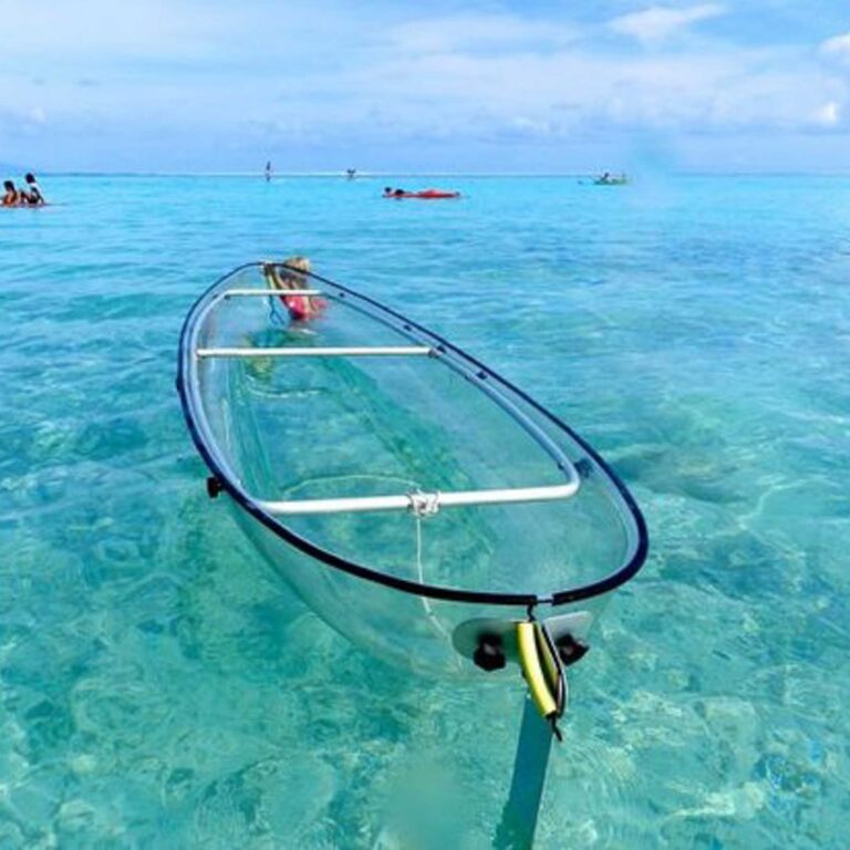 Rental | Crystal Clear Kayak - Crystal Clear Kayak Aruba